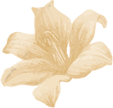 Body Massage in Ulhasnagar